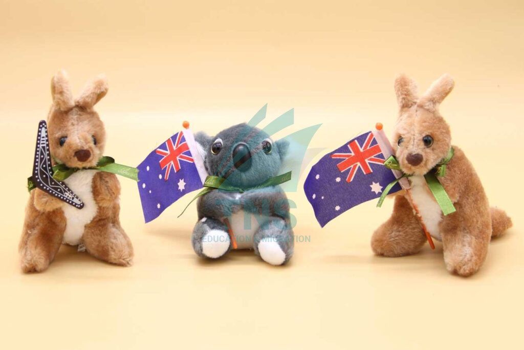 Đồ lưu niệm Kangaroo/Koala
