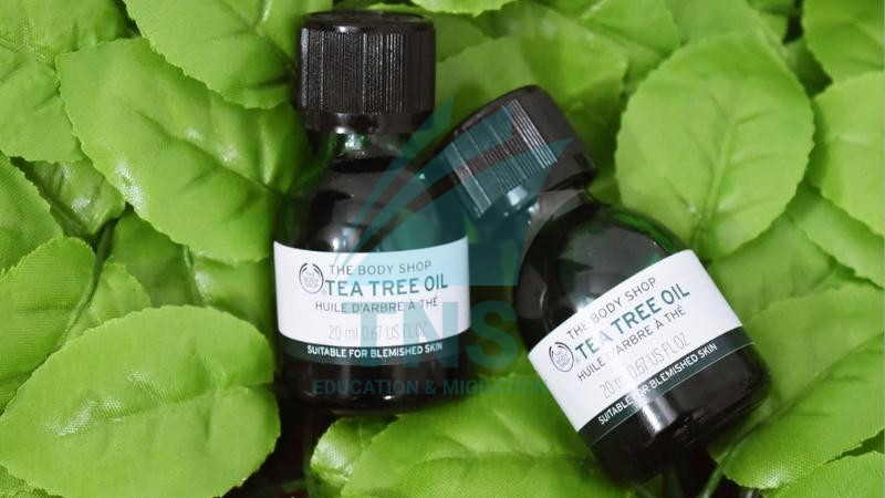 Tinh dầu Tea Tree Oil hoặc Eucalyptus Oil