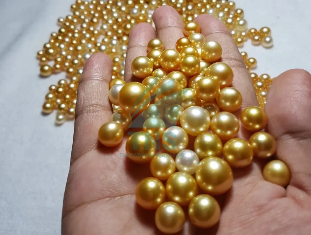 Trang sức từ ngọc trai South Sea Úc