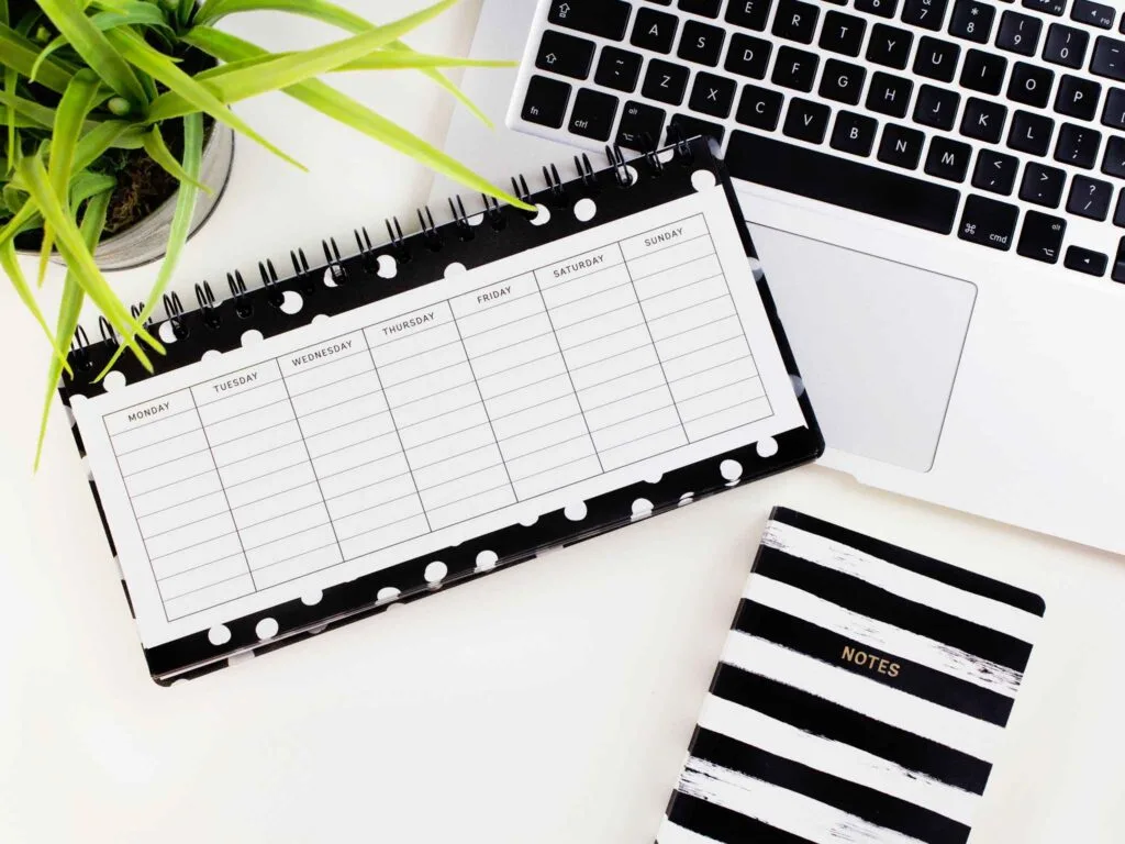 Study plan phản ánh trải nghiệm, động lực và mục tiêu độc đáo của bạn