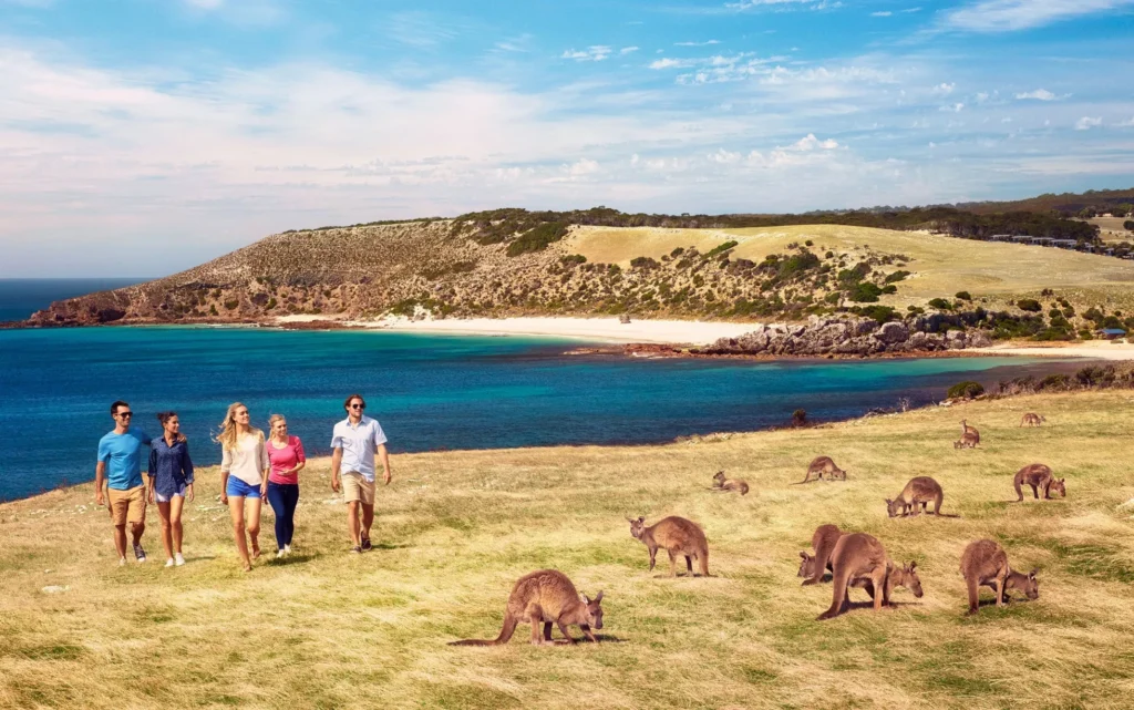Đảo Kangaroo