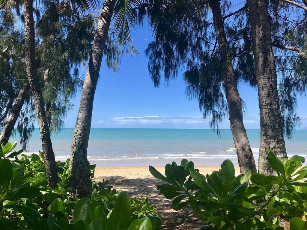 Bãi biển Palm Cove 
