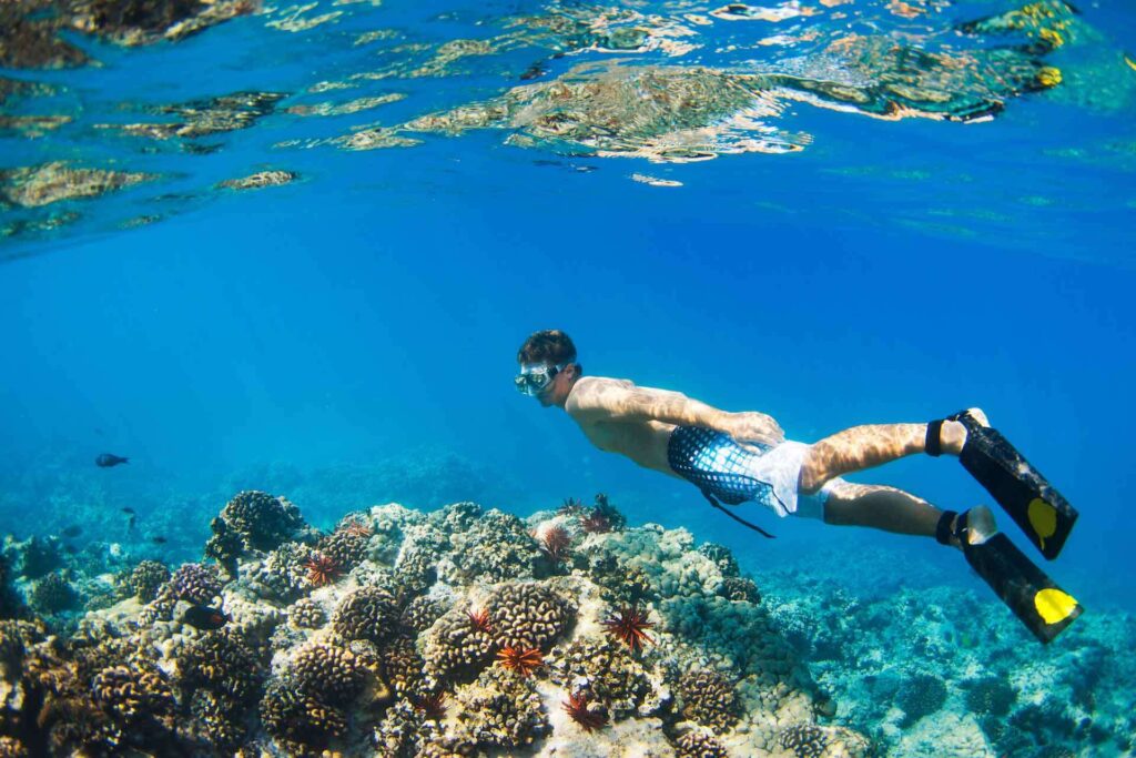 Đảo Whitsunday