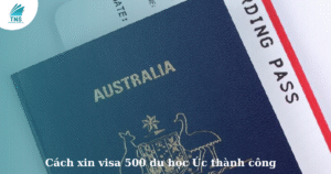 visa 500