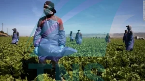 Làm nông nghiệp ở Úc có vất vả không?