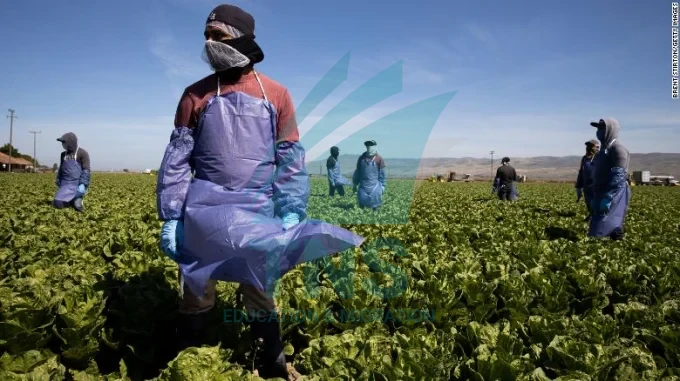 Làm nông nghiệp ở Úc có vất vả không?