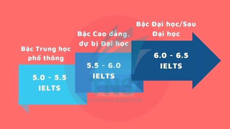Yêu cầu IELTS