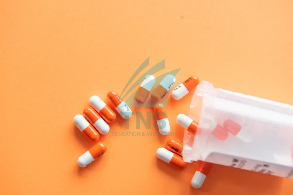Học bổng ngành Dược tại Úc mới nhất danh sách chương trình và điều kiện săn học bổng